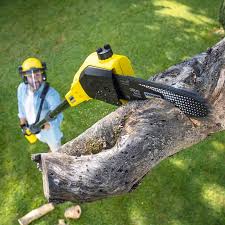 Best Organic Lawn Care Solutions  in Boscobel, WI